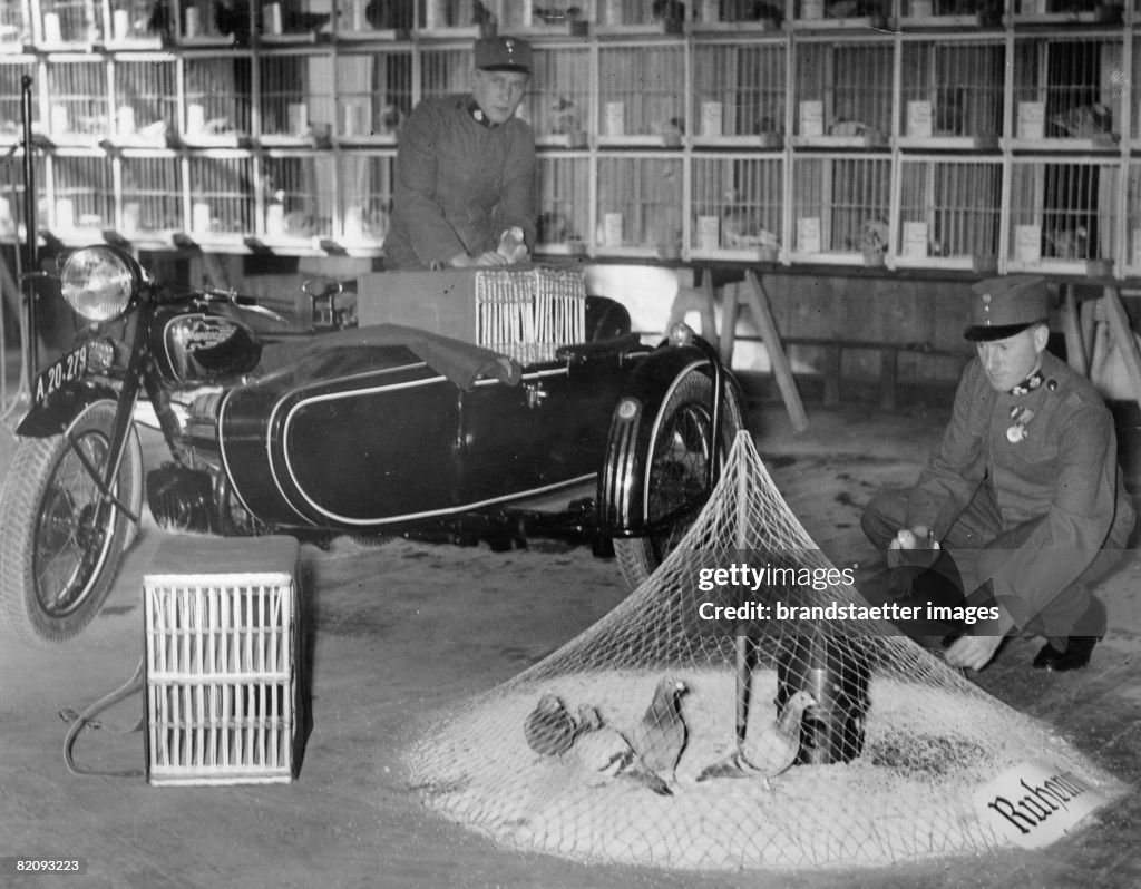 Exhibition of carrier pigeons in the Stiftskaserne in Vienna under participation of the police and the army, Photograph, Austria, Around 1930