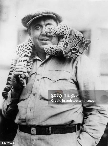 An US soldier has a ocelot as a pet, Photograph, Around 1935 [Ein US-Soldat h?lt einen Ozelot als Haustier, Photographie, Um 1935]