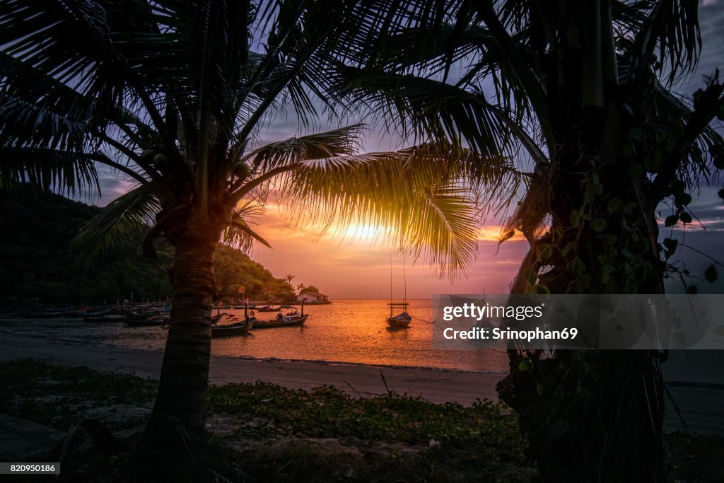Silhouettes of palm trees and amazing cloudy sky on sunset at tropical island in Indian Ocean. Coconut Tree with Beautiful and romantic sunset. Koh Tao popular tourist destination in Thailand.