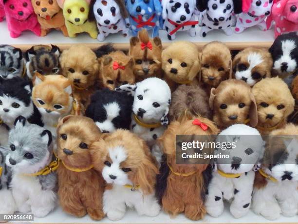 dog of teddy for sale at a street stall - stuffed toy stock pictures, royalty-free photos & images