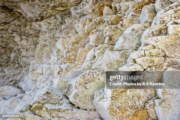 chalk cliffs at flamborough head - chalk strata stock pictures, royalty-free photos & images