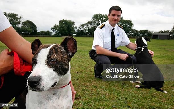 Inspector Bartle with dog Saffron and RSPCA Inspector Simon Osborne with dog Warrier stretch their legs in a field at the Southridge Animal Centre on...
