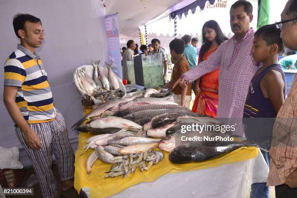 Bangladeshi People visits the Fisheries Fair in Dhaka, Bangladesh, on July 21, 2017. Bangladesh Fisheries Department organized a five day Fisheries...