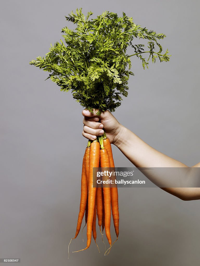 Hand holding a bunch of carrots