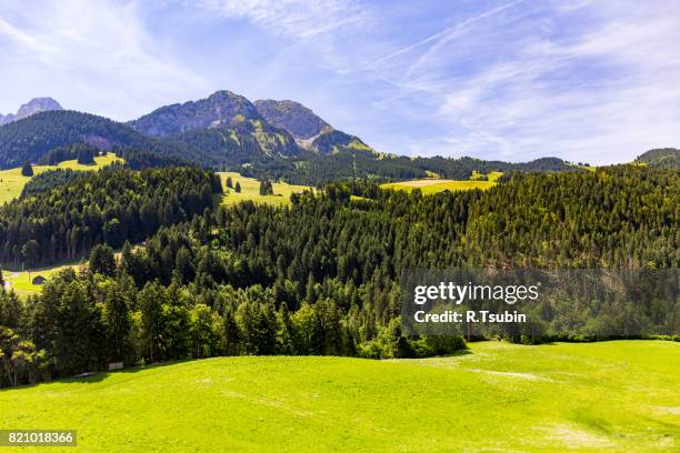 alps view, switzerland - saanen stock pictures, royalty-free photos & images