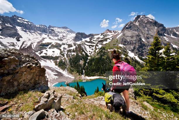 young woman hiker and dog - colorido stock pictures, royalty-free photos & images