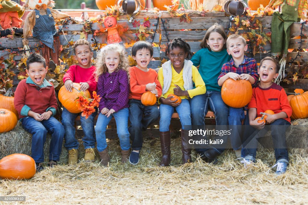 Enfants multiethniques avec citrouilles au festival d’automne