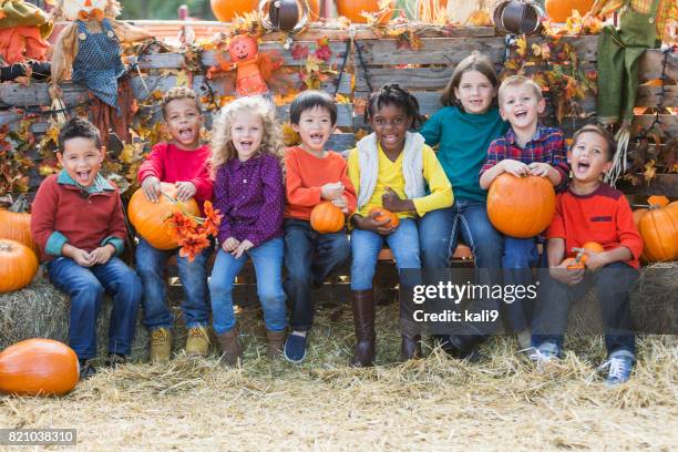 multi-ethnic children with pumpkins at fall festival - pumpkins in a row stock pictures, royalty-free photos & images