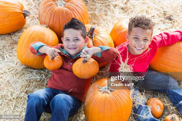 two multi-ethnic boys in pumpkin patch - pumpkin patch stock pictures, royalty-free photos & images