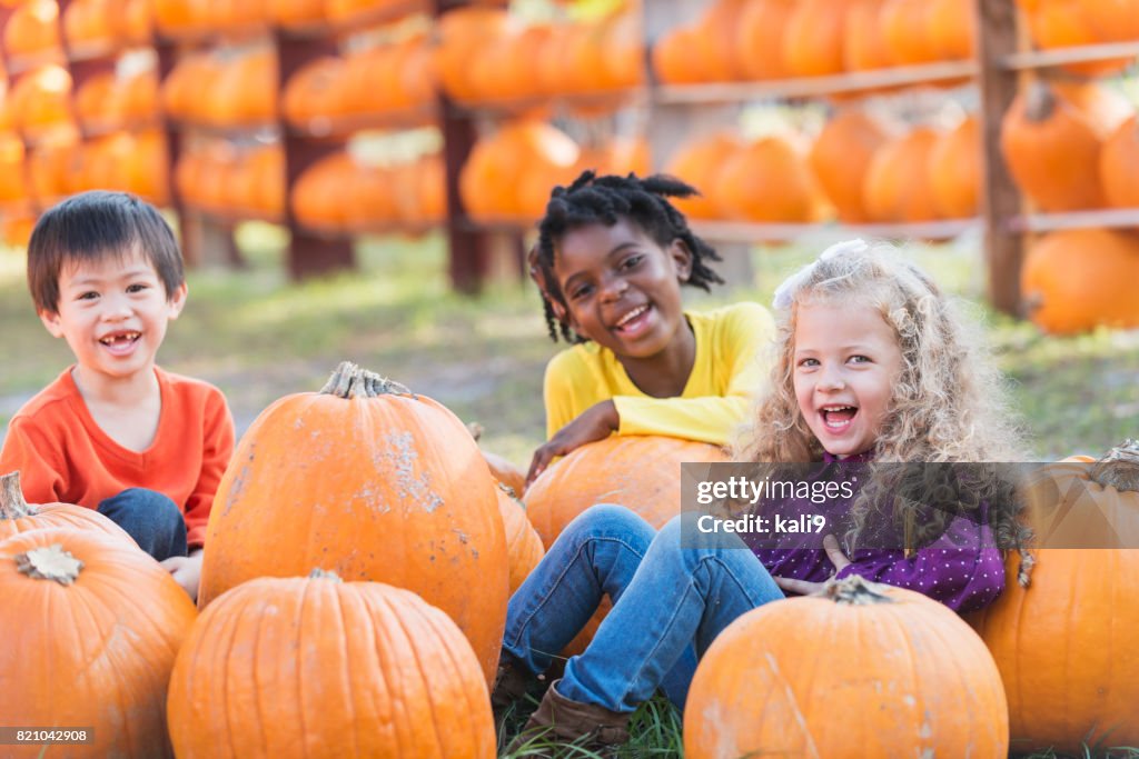 Three multi-ethnic children with lots of pumpkins