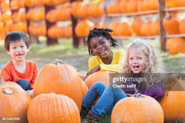 three multi-ethnic children with lots of pumpkins - pumpkin patch stock pictures, royalty-free photos & images