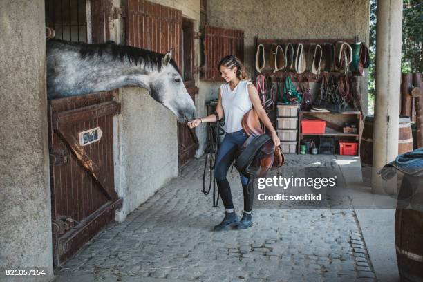 my riding friend - horse barn stock pictures, royalty-free photos & images