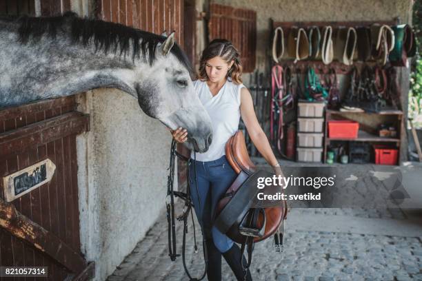 scheuen sie sich nicht gut aussehend - saddle stock-fotos und bilder