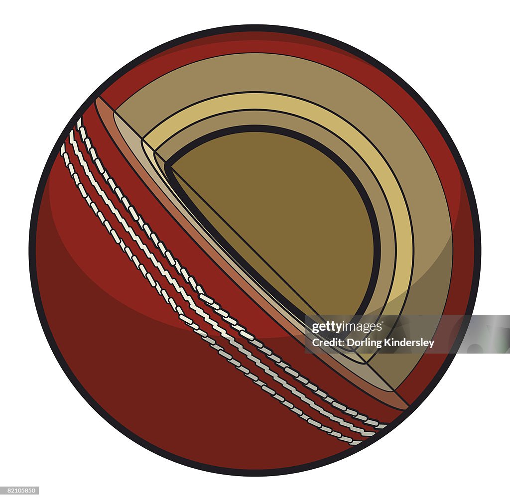 Cricket ball, cross-section