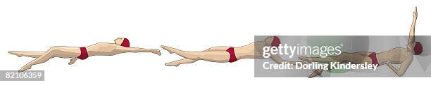 Backstroke Graphics Three Stages Of Swimmer Performing Backstroke High-Res Vector Graphic ...