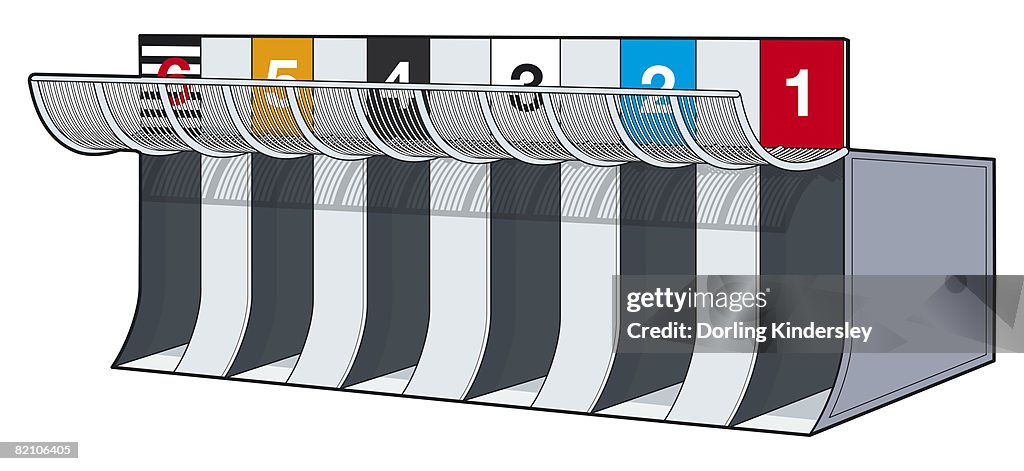Greyhound race starting gate