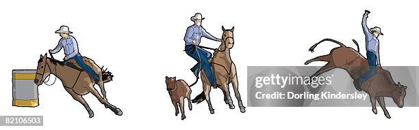 illustrations, cliparts, dessins animés et icônes de rodeo riders, barrel racing, tie-down and bull riding - veau fond blanc