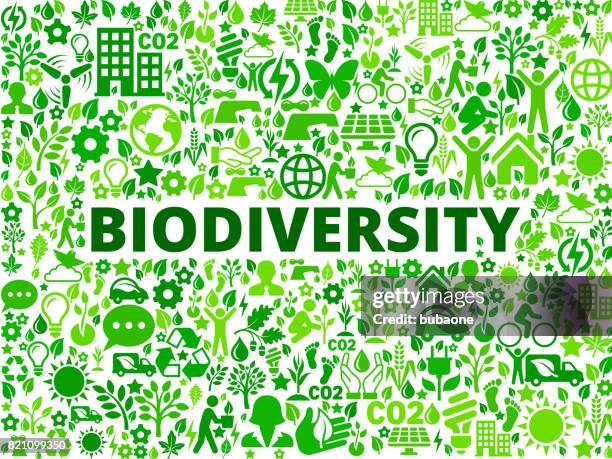 ilustrações, clipart, desenhos animados e ícones de biodiversidade conservação ambiental vector ícone padrão - activist icon