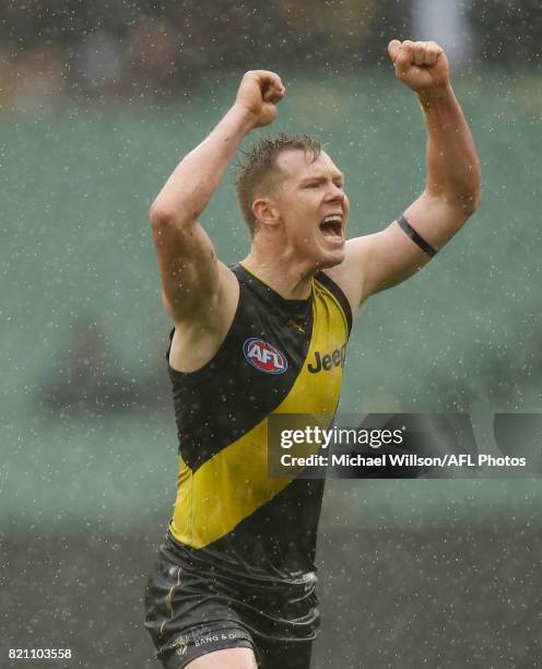 Jack Riewoldt of the Tigers celebrates during the 2017 AFL round 18 match between the Richmond Tigers and the GWS Giants at the Melbourne Cricket...