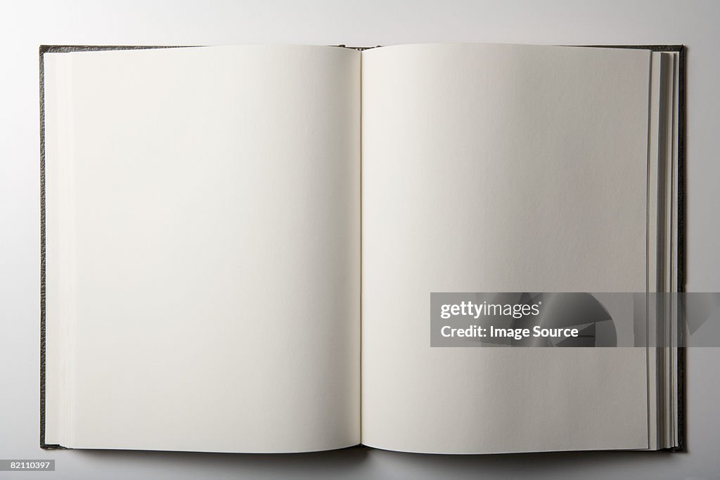 Blank book