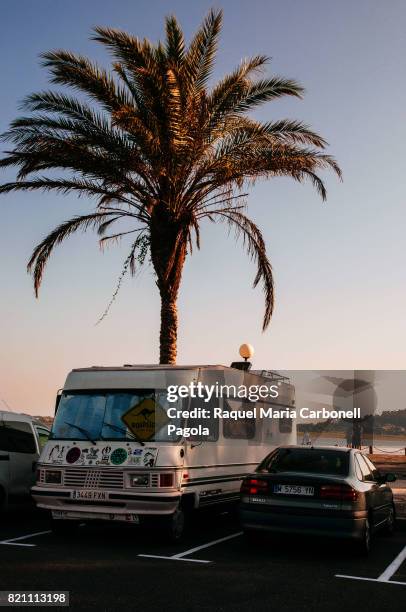 Motorhome under palm tree parked by the beach at sunset.
