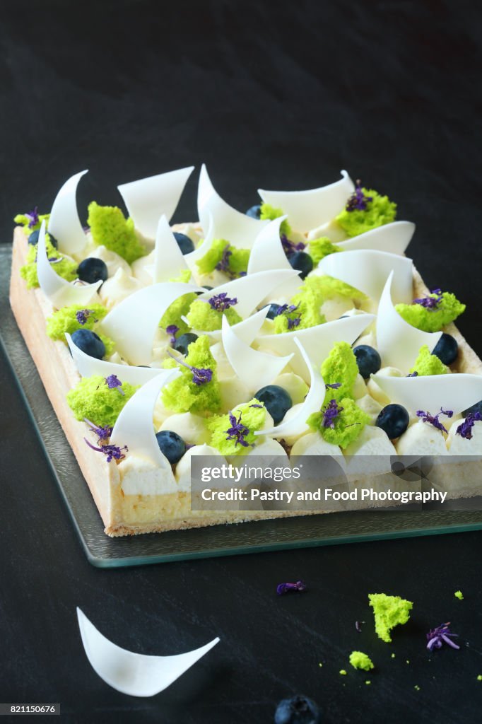 Contemporary Lemon Tart with Cream Cheese and Blueberries