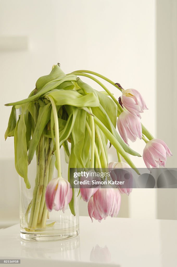 Withered bunch of flowers