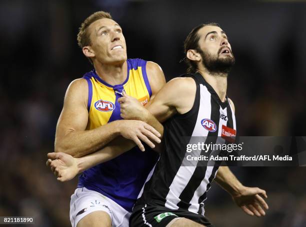 Drew Petrie of the Eagles and Brodie Grundy of the Magpies compete in a ruck contest during the 2017 AFL round 18 match between the Collingwood...