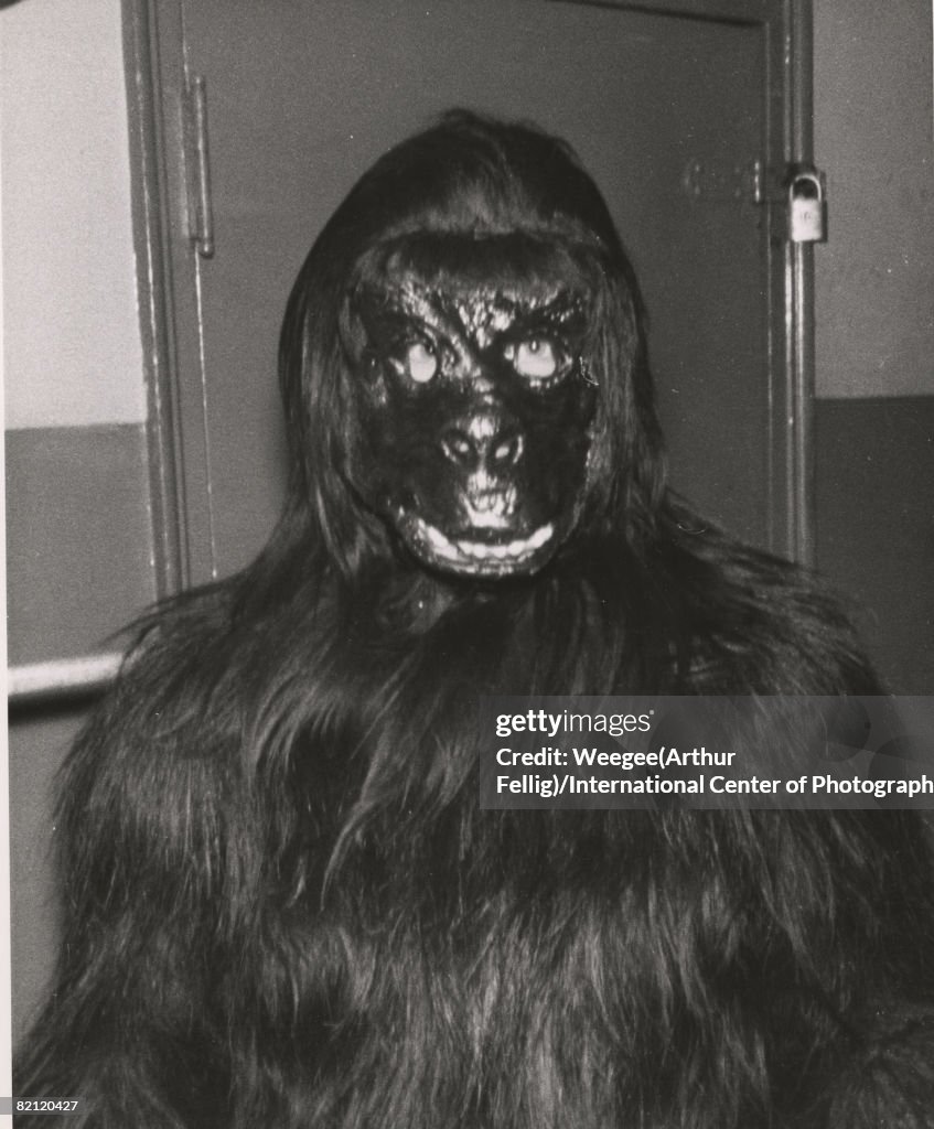 In A Monkey Suit