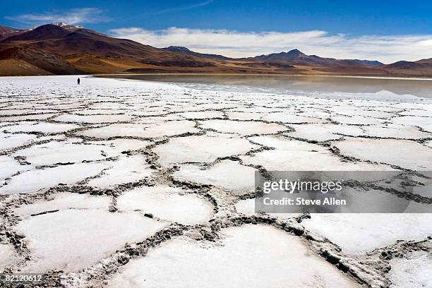 tuyajto lagoon & salt flats - salina foto e immagini stock