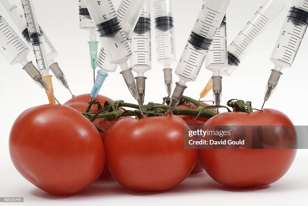 Syringe needles pushed into tomatoes