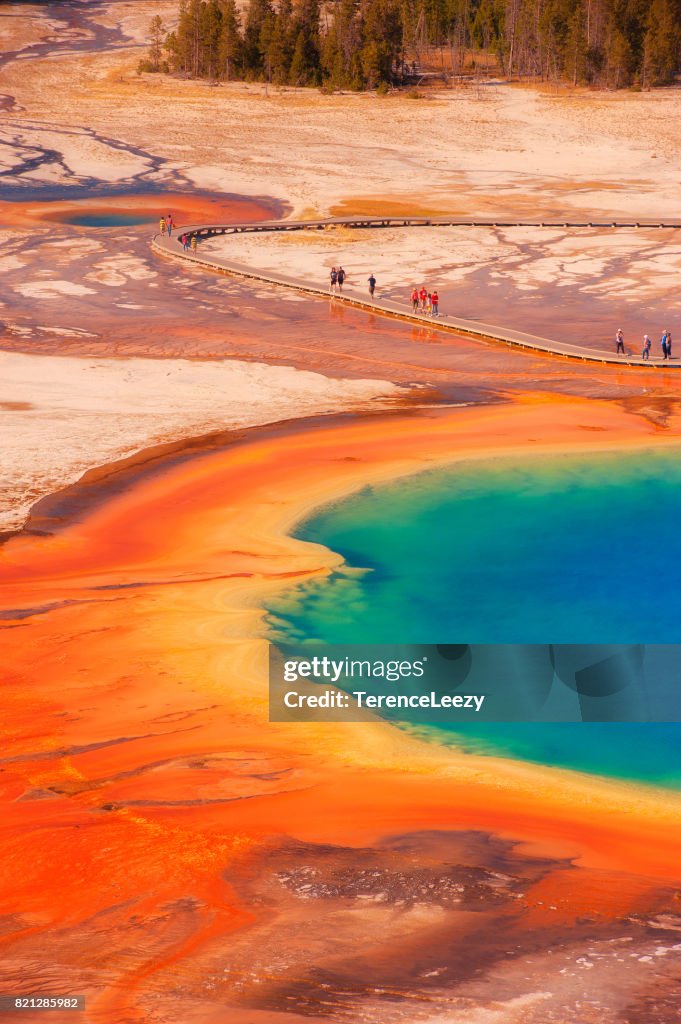 Grand Prismatic Spring, Midway Geyser Basin, Yellowstone National Park, UNESCO World Heritage Site, Wyoming