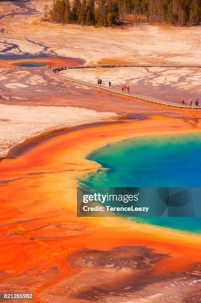 grand prismatic spring, midway geyser basin, yellowstone national park, unesco world heritage site, wyoming - grand prismatic spring stock pictures, royalty-free photos & images