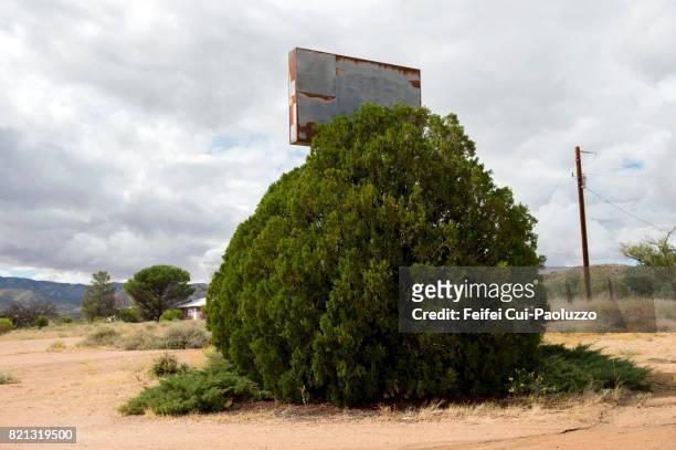Old commercial sign placard behind a tree at Valentine, in Mohave County, Arizona, United States