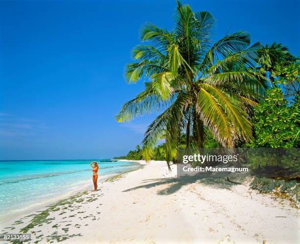 the beach - ari stock pictures, royalty-free photos & images