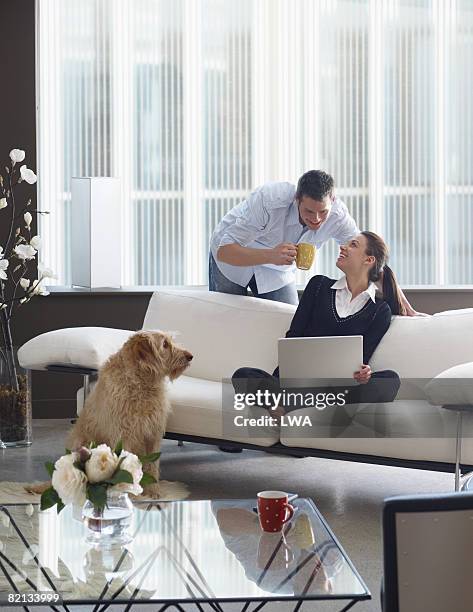 man looking over womans shoulder at laptop - dog looking over shoulder stock pictures, royalty-free photos & images