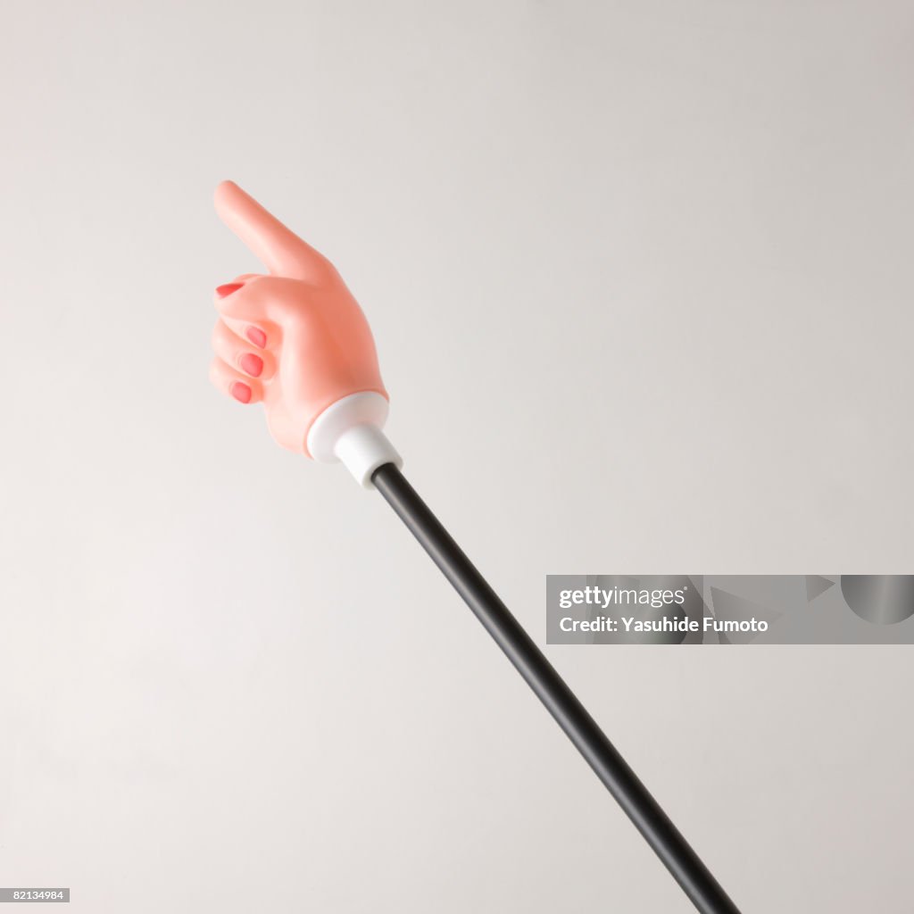 A pointing stick.