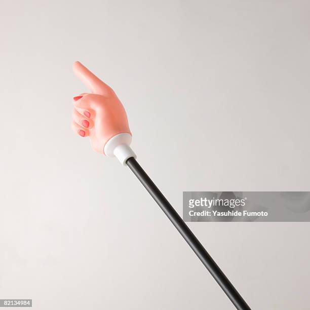 a pointing stick. - pointer stick stock pictures, royalty-free photos & images