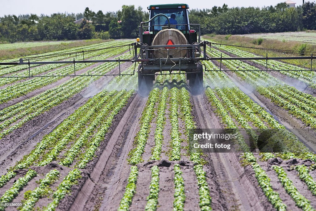 Tractor spraying field, Florida, United States