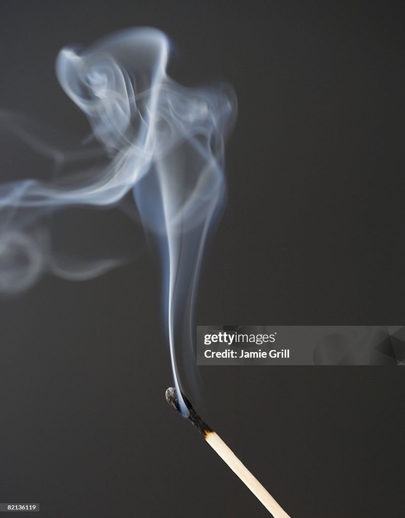 Close up of extinguished match
