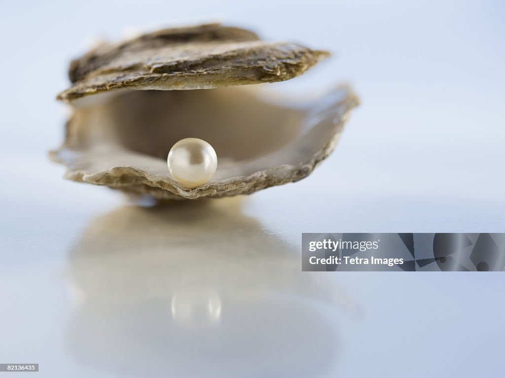 Close up of pearl in oyster shell