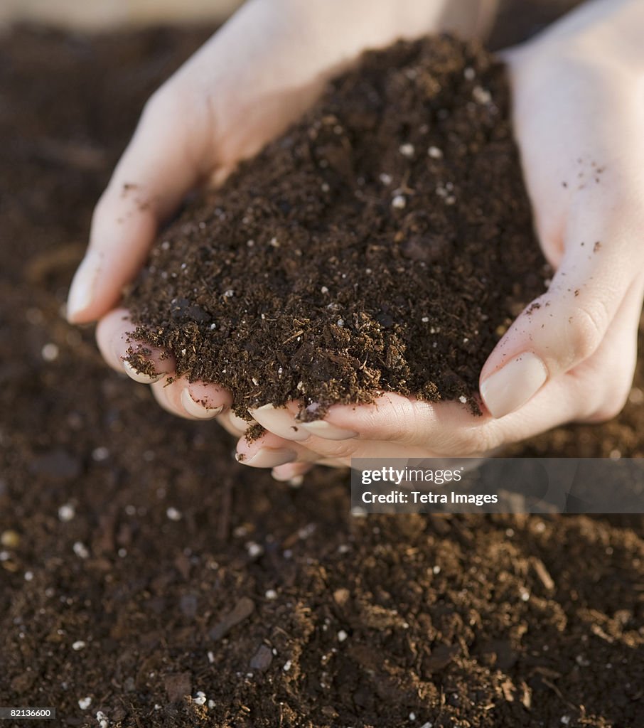 Woman holding handful of soil
