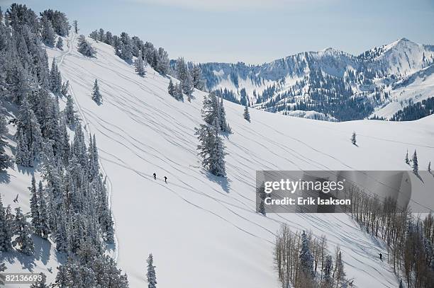 skiers on mountain, wasatch mountains, utah, united states - park city utah photos et images de collection