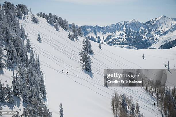 skiers on mountain, wasatch mountains, utah, united states - park city stockfoto's en -beelden