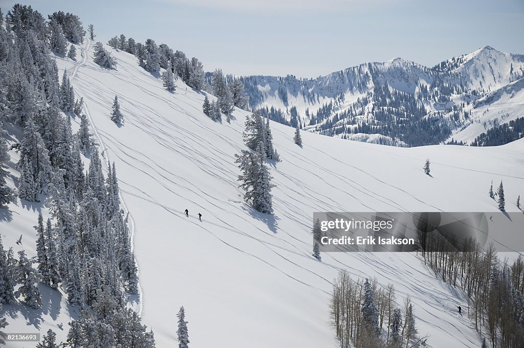 Skiers on mountain, Wasatch Mountains, Utah, United States