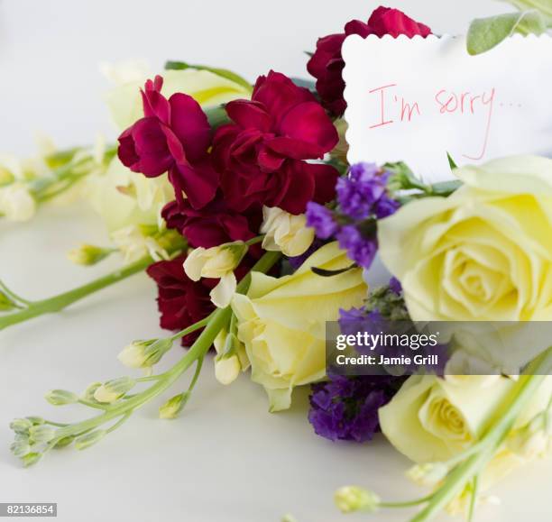 Sorry Roses 240 Apology Flowers Stock Photos, High-Res Pictures, and Images - Getty ...