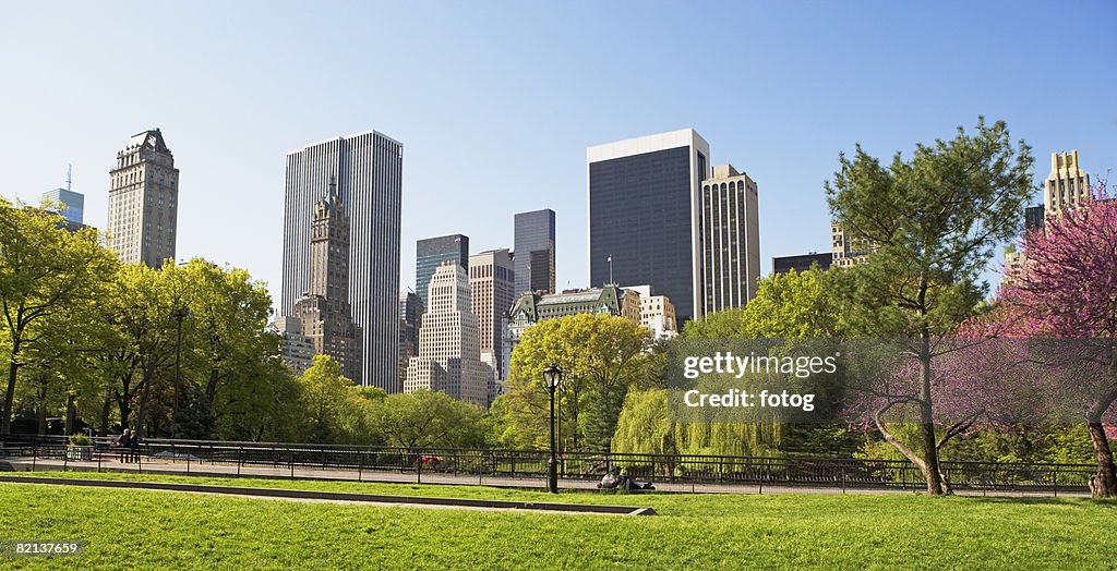 Buildings and trees, New York, United States