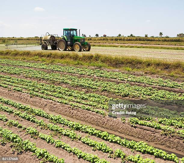 tractor spraying field, florida, united states - boynton beach stock pictures, royalty-free photos & images