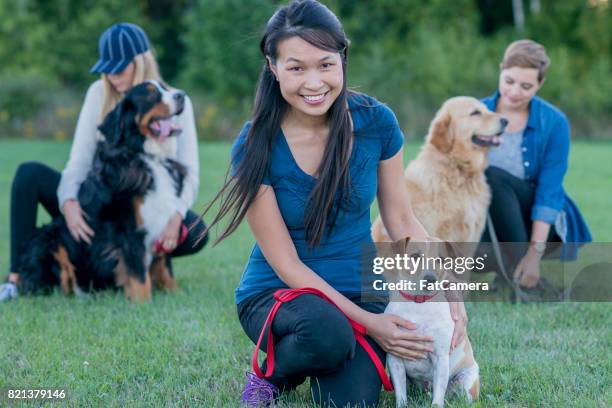 women with dogs - off leash dog park stock pictures, royalty-free photos & images