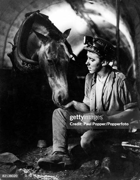 Classic Collection, Page 67 A young miner sitting on floor, feeding a pit-pony, UK, circa 1950.